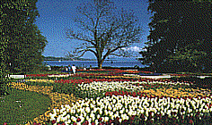 MAINAU03