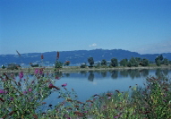 Rheinmndung vom Neuen Rhein